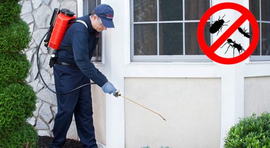 Yağcılar Karınca İlaçlama böcek ilaçlama ve haşere kontrolü — ilaclama-tr.com